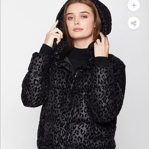 BCBG Leopard Puffer coat size XS new with tags.